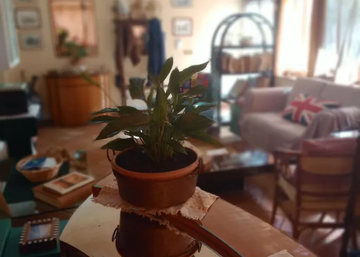 Bed & Breakfast Casa Di Luca Agrigento